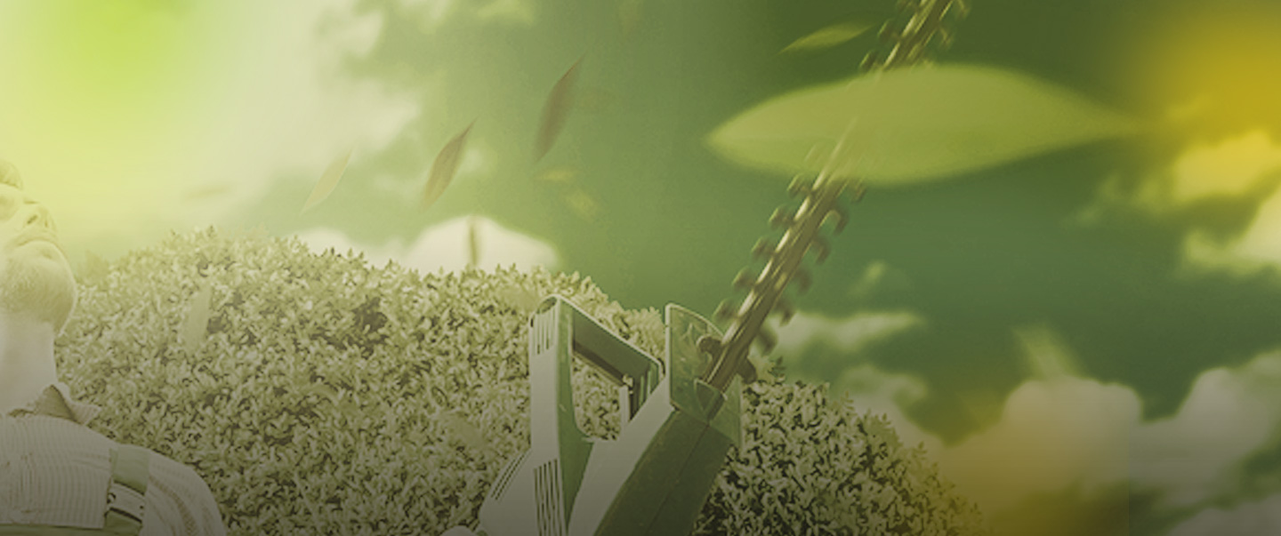 forb-home-header-bg-2