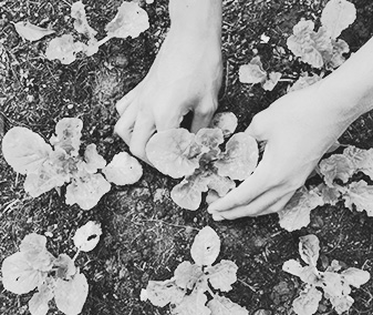 agricoltura_sociale_02