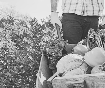 agricoltura_sociale_03