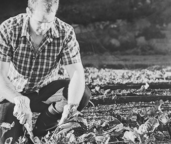 agricoltura_sociale_04