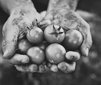 agricoltura_sociale_06