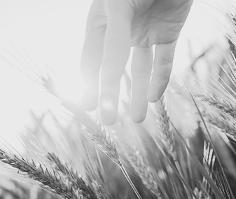 agricoltura_sociale_07