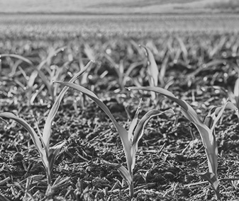 agricoltura_sociale_09