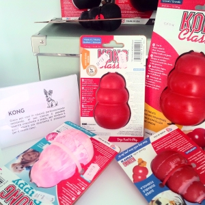 Pet Shop Canile Forlì